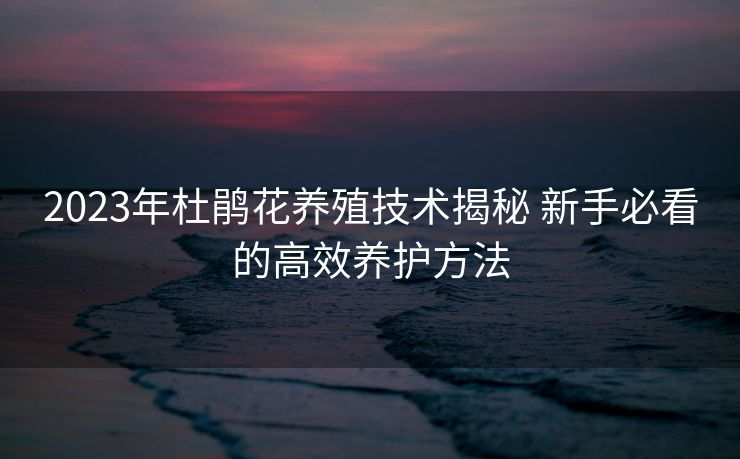 2023年杜鹃花养殖技术揭秘 新手必看的高效养护方法