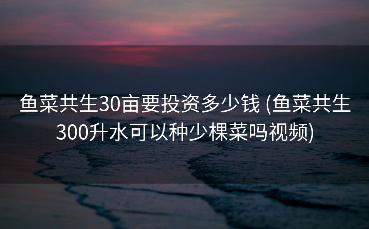 鱼菜共生30亩要投资多少钱 (鱼菜共生300升水可以种少棵菜吗视频)