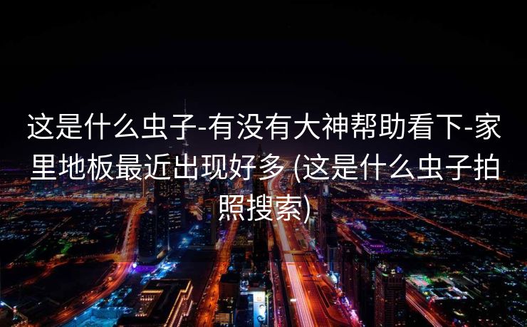 这是什么虫子-有没有大神帮助看下-家里地板最近出现好多 (这是什么虫子拍照搜索)