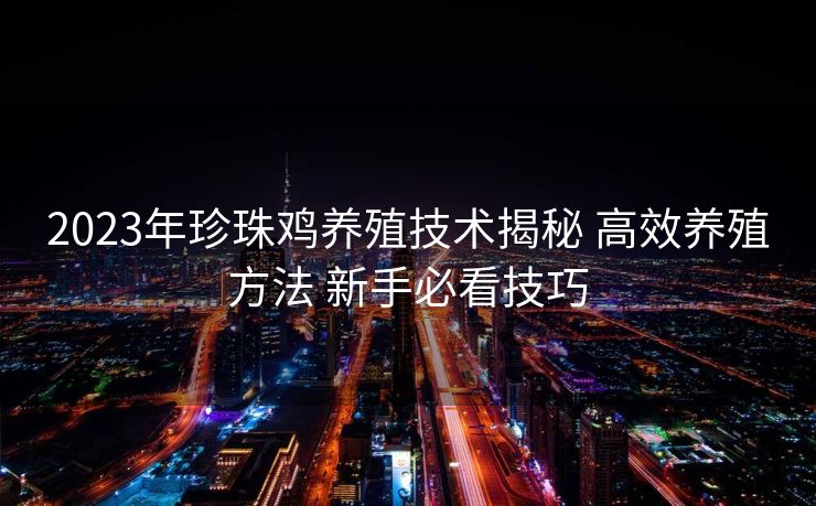2023年珍珠鸡养殖技术揭秘 高效养殖方法 新手必看技巧
