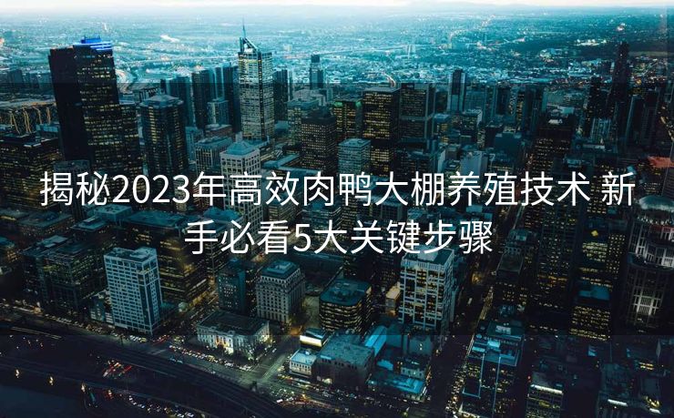 揭秘2023年高效肉鸭大棚养殖技术 新手必看5大关键步骤