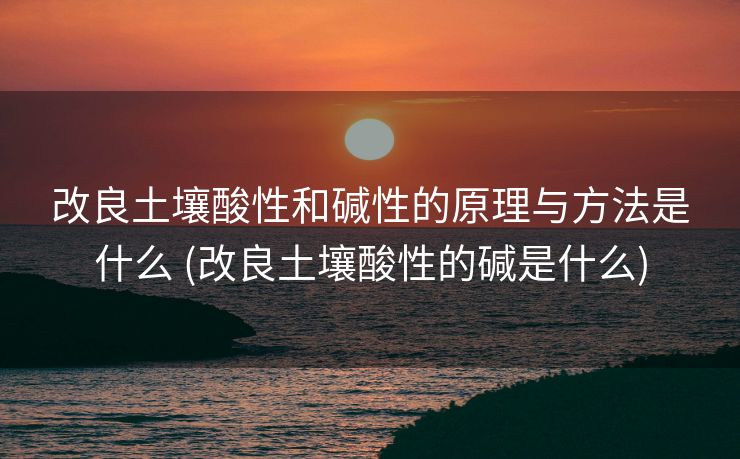 改良土壤酸性和碱性的原理与方法是什么 (改良土壤酸性的碱是什么)