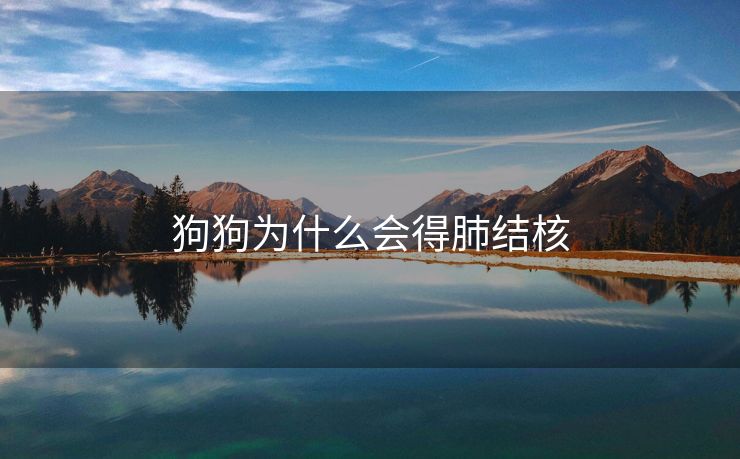 狗狗为什么会得肺结核