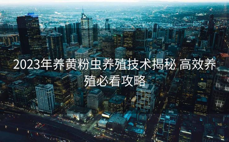 2023年养黄粉虫养殖技术揭秘 高效养殖必看攻略