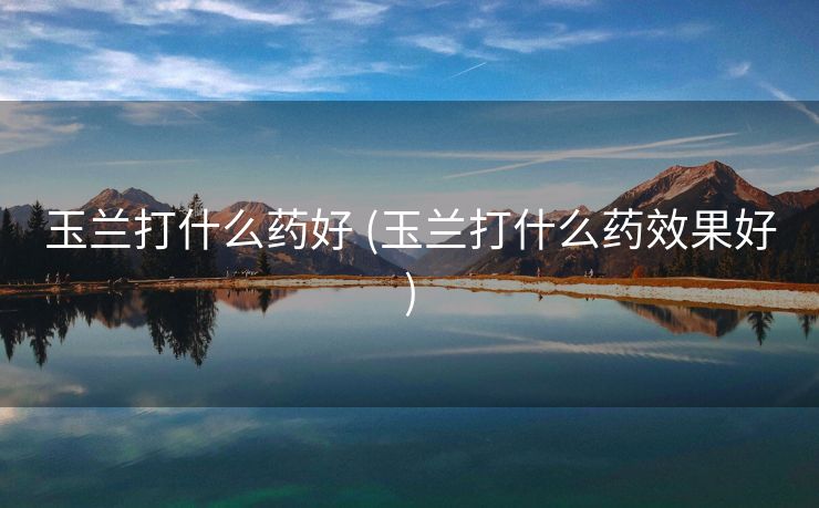 玉兰打什么药好 (玉兰打什么药效果好)