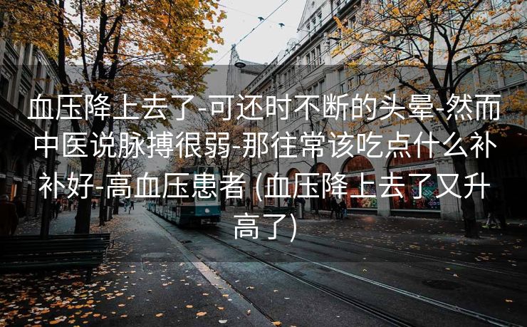 血压降上去了-可还时不断的头晕-然而中医说脉搏很弱-那往常该吃点什么补补好-高血压患者 (血压降上去了又升高了)