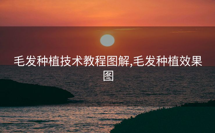 毛发种植技术教程图解,毛发种植效果图
