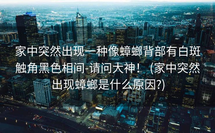 家中突然出现一种像蟑螂背部有白斑触角黑色相间-请问大神！ (家中突然出现蟑螂是什么原因?)
