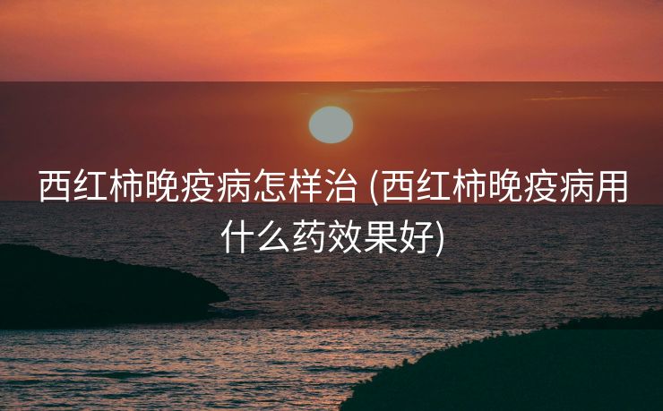 西红柿晚疫病怎样治 (西红柿晚疫病用什么药效果好)