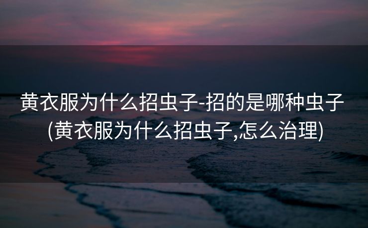 黄衣服为什么招虫子-招的是哪种虫子 (黄衣服为什么招虫子,怎么治理)