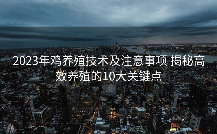 2023年鸡养殖技术及注意事项 揭秘高效养殖的10大关键点
