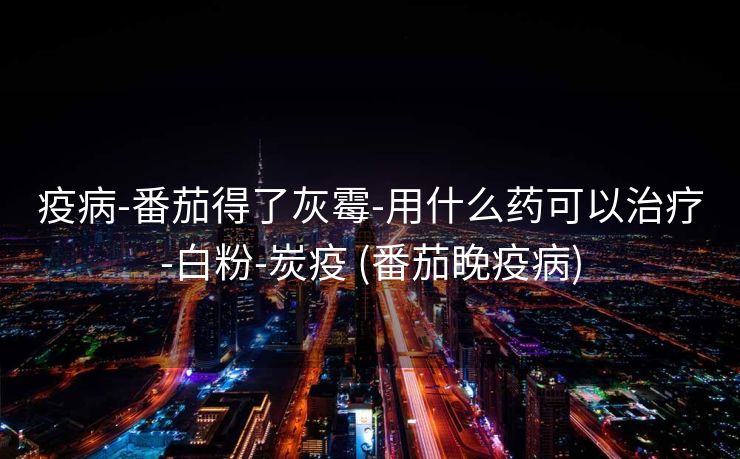 疫病-番茄得了灰霉-用什么药可以治疗-白粉-炭疫 (番茄睌疫病)