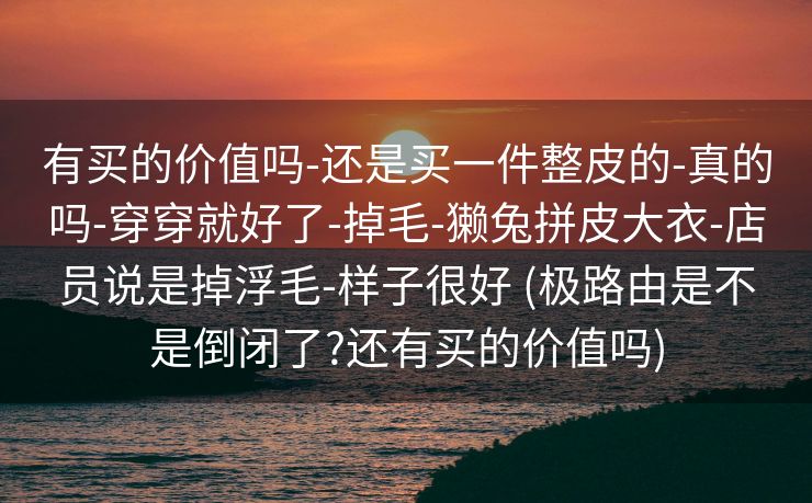 有买的价值吗-还是买一件整皮的-真的吗-穿穿就好了-掉毛-獭兔拼皮大衣-店员说是掉浮毛-样子很好 (极路由是不是倒闭了?还有买的价值吗)