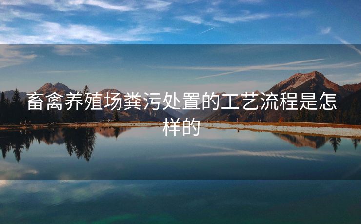 畜禽养殖场粪污处置的工艺流程是怎样的