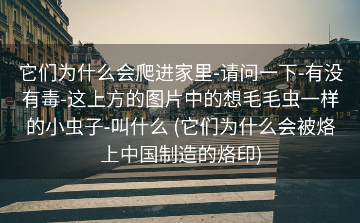 它们为什么会爬进家里-请问一下-有没有毒-这上方的图片中的想毛毛虫一样的小虫子-叫什么 (它们为什么会被烙上中国制造的烙印)