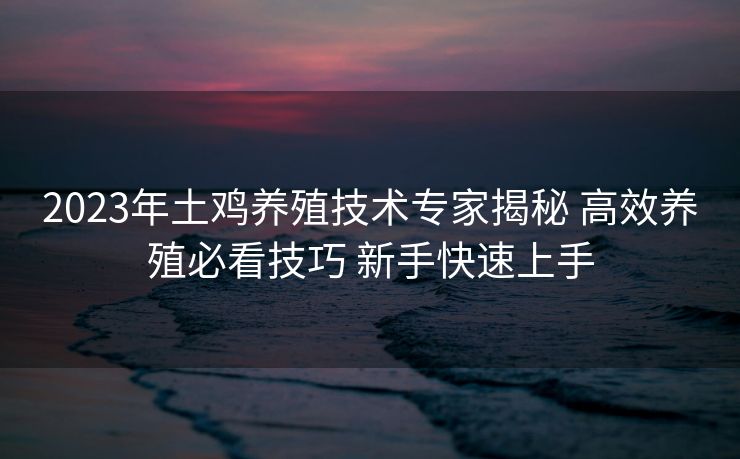 2023年土鸡养殖技术专家揭秘 高效养殖必看技巧 新手快速上手
