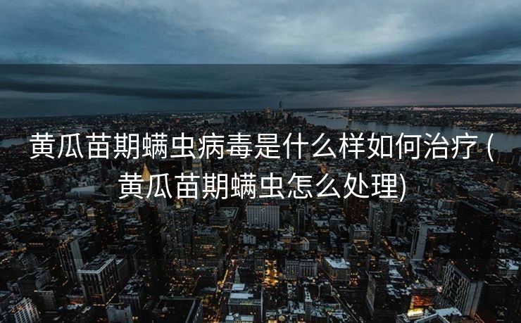 黄瓜苗期螨虫病毒是什么样如何治疗 (黄瓜苗期螨虫怎么处理)