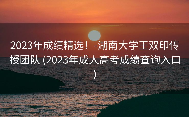 2023年成绩精选！-湖南大学王双印传授团队 (2023年成人高考成绩查询入口)