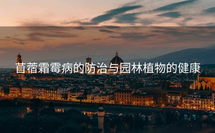 苜蓿霜霉病的防治与园林植物的健康