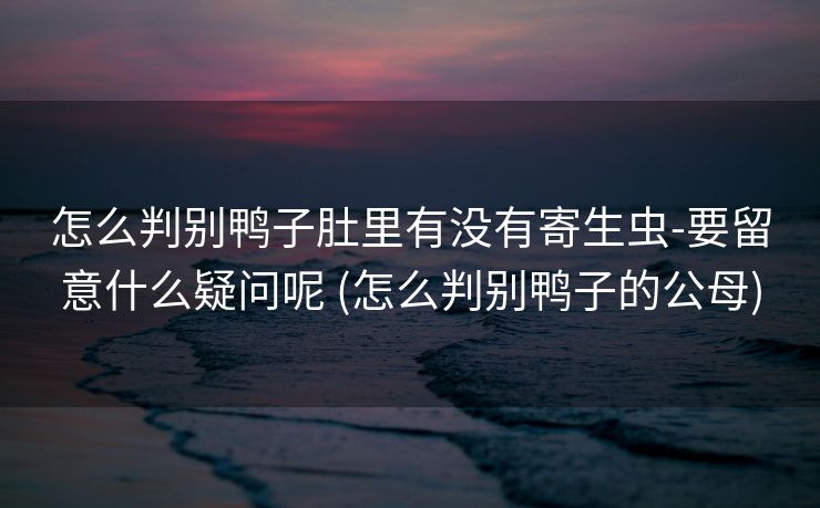 怎么判别鸭子肚里有没有寄生虫-要留意什么疑问呢 (怎么判别鸭子的公母)