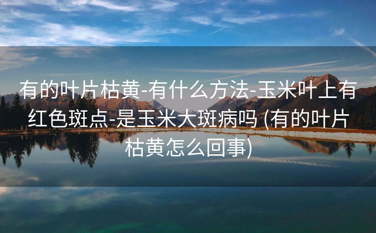 有的叶片枯黄-有什么方法-玉米叶上有红色斑点-是玉米大斑病吗 (有的叶片枯黄怎么回事)