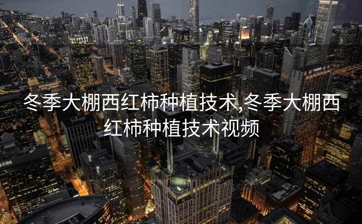 冬季大棚西红柿种植技术,冬季大棚西红柿种植技术视频