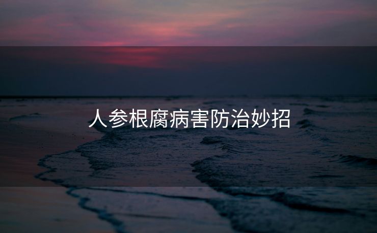 人参根腐病害防治妙招
