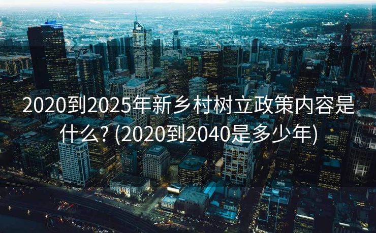 2020到2025年新乡村树立政策内容是什么? (2020到2040是多少年)