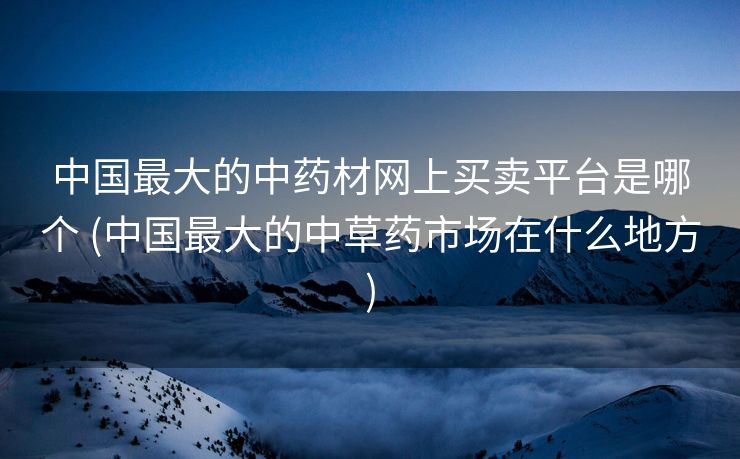 中国最大的中药材网上买卖平台是哪个 (中国最大的中草药市场在什么地方)