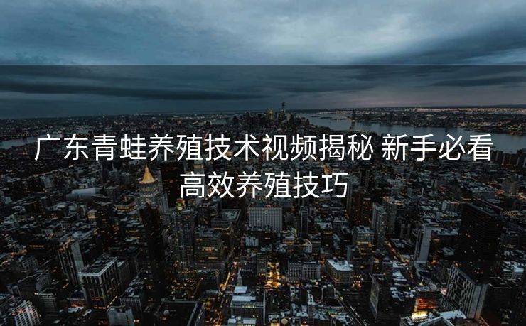 广东青蛙养殖技术视频揭秘 新手必看高效养殖技巧