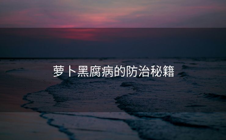 萝卜黑腐病的防治秘籍