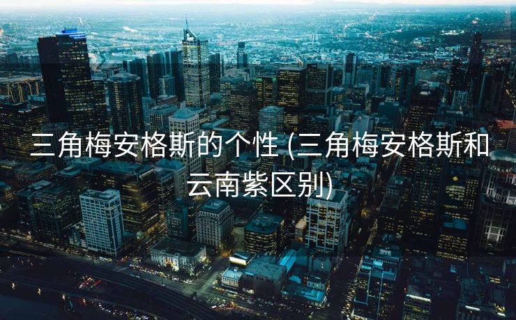 三角梅安格斯的个性 (三角梅安格斯和云南紫区别)