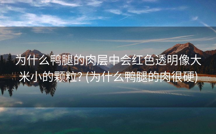 为什么鸭腿的肉层中会红色透明像大米小的颗粒? (为什么鸭腿的肉很硬)