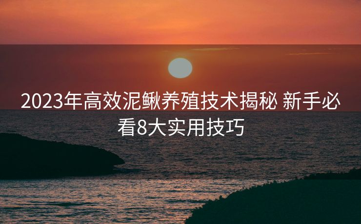2023年高效泥鳅养殖技术揭秘 新手必看8大实用技巧