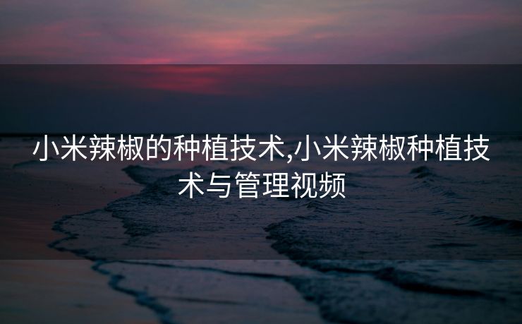 小米辣椒的种植技术,小米辣椒种植技术与管理视频