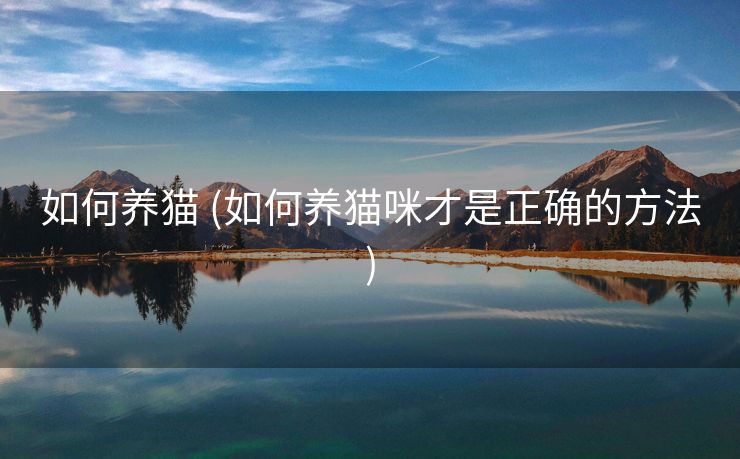 如何养猫 (如何养猫咪才是正确的方法)
