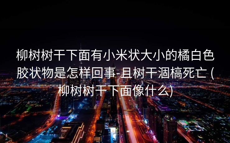柳树树干下面有小米状大小的橘白色胶状物是怎样回事-且树干涸槁死亡 (柳树树干下面像什么)