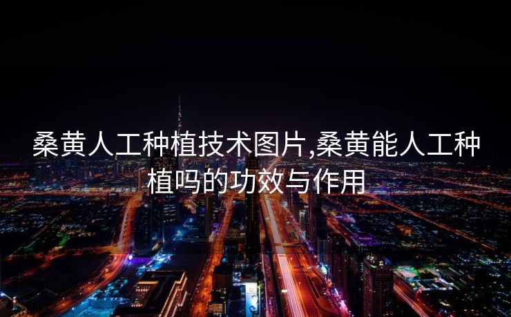 桑黄人工种植技术图片,桑黄能人工种植吗的功效与作用