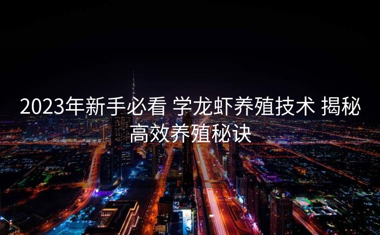 2023年新手必看 学龙虾养殖技术 揭秘高效养殖秘诀