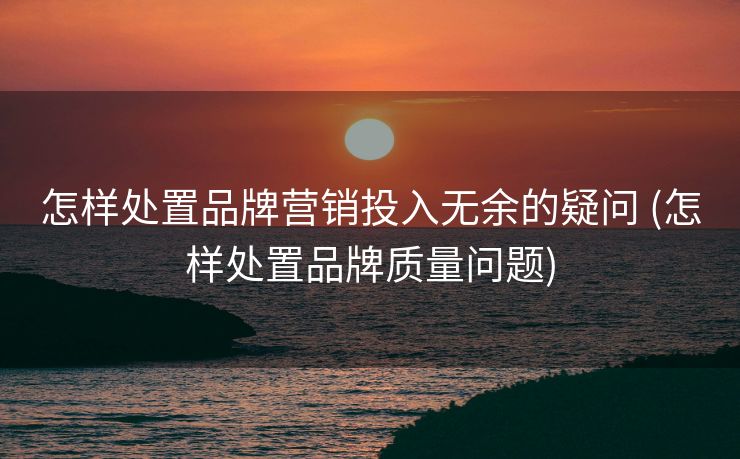 怎样处置品牌营销投入无余的疑问 (怎样处置品牌质量问题)