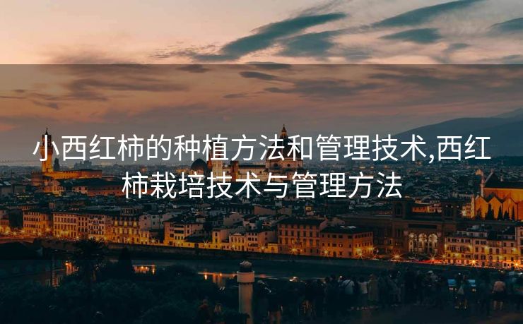 小西红柿的种植方法和管理技术,西红柿栽培技术与管理方法