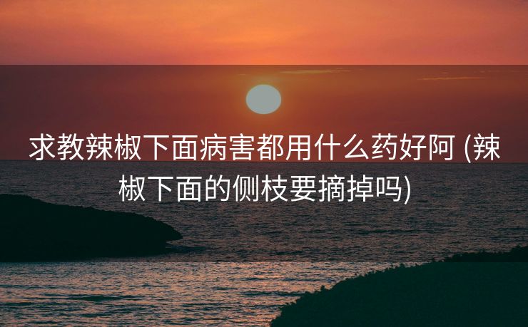 求教辣椒下面病害都用什么药好阿 (辣椒下面的侧枝要摘掉吗)