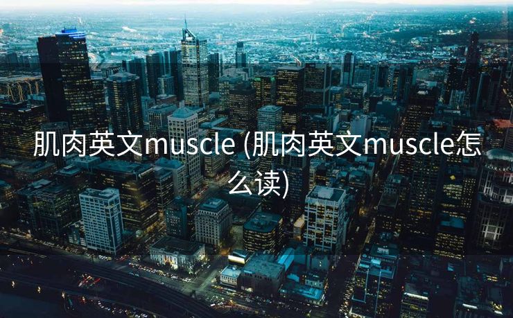 肌肉英文muscle (肌肉英文muscle怎么读)