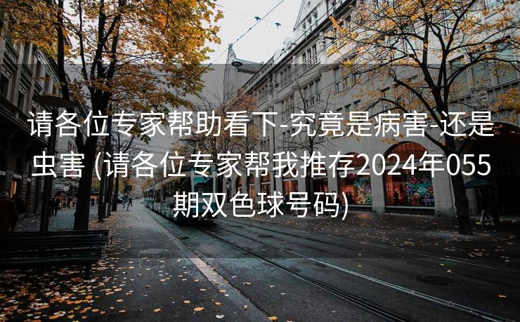 请各位专家帮助看下-究竟是病害-还是虫害 (请各位专家帮我推存2024年055期双色球号码)