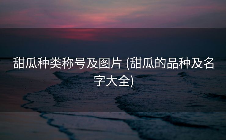 甜瓜种类称号及图片 (甜瓜的品种及名字大全)