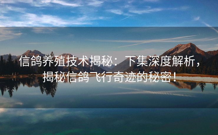 信鸽养殖技术揭秘：下集深度解析，揭秘信鸽飞行奇迹的秘密！