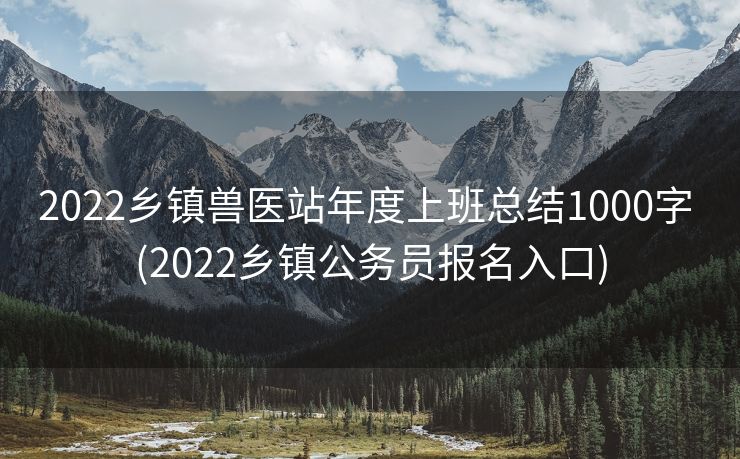 2022乡镇兽医站年度上班总结1000字 (2022乡镇公务员报名入口)