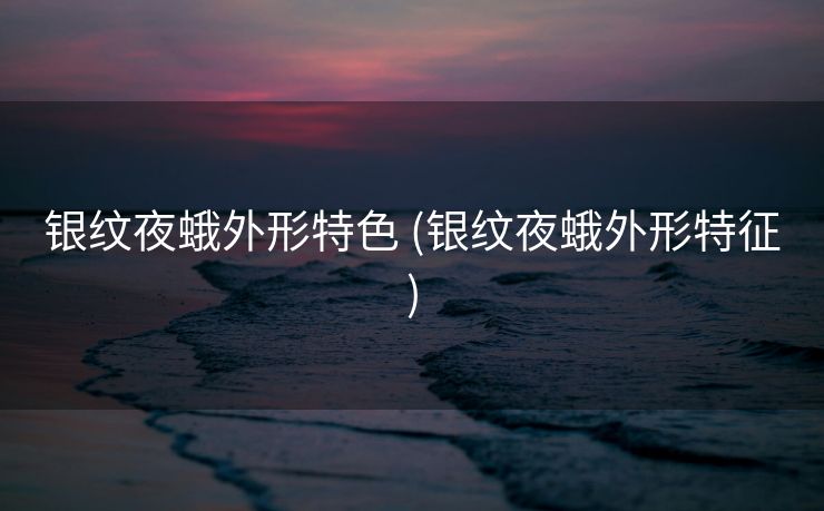 银纹夜蛾外形特色 (银纹夜蛾外形特征)
