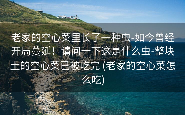 老家的空心菜里长了一种虫-如今曾经开局蔓延！请问一下这是什么虫-整块土的空心菜已被吃完 (老家的空心菜怎么吃)
