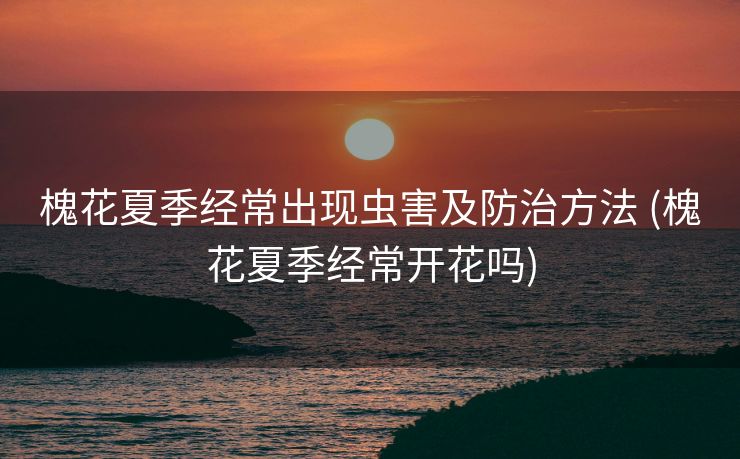 槐花夏季经常出现虫害及防治方法 (槐花夏季经常开花吗)
